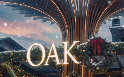 Sala Group Launches Christmas 2025